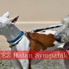 SOUTĚŽ! Hafan Sympaťák 2017