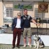 Šumperského hafana 2017 vyhrál aljašský malamut Sunny