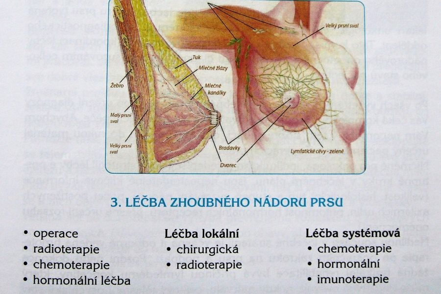 ilustrační snímek zdroj foto:archiv