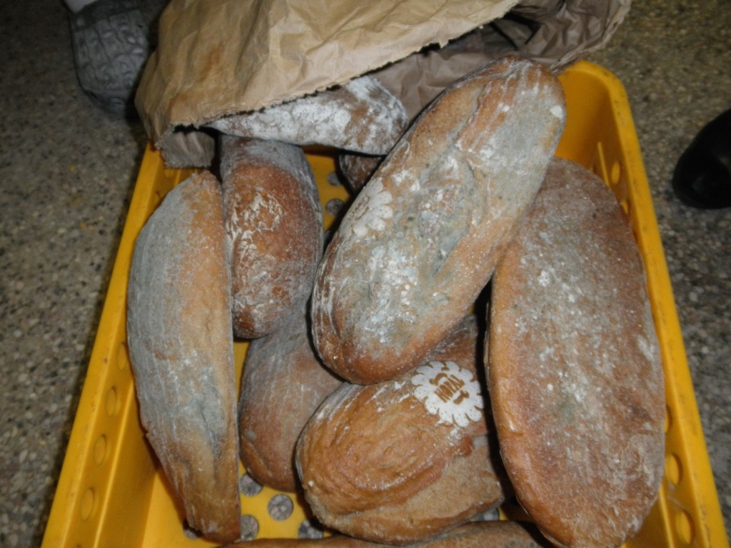 pekárnu Radim Metzner