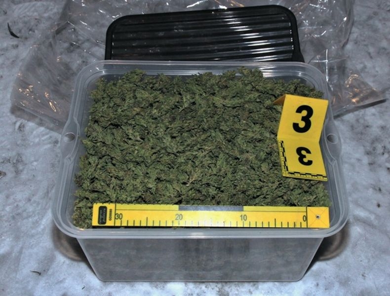 Česká Ves - zajištěná marihuana zdroj foto:PČR