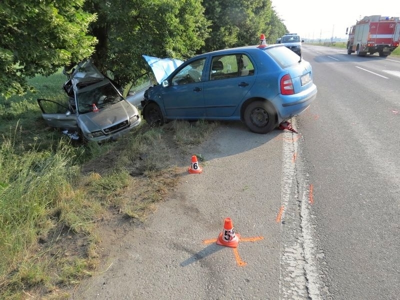 DN mezi Zábřehem a Postřelmovem zdroj foto: PČR