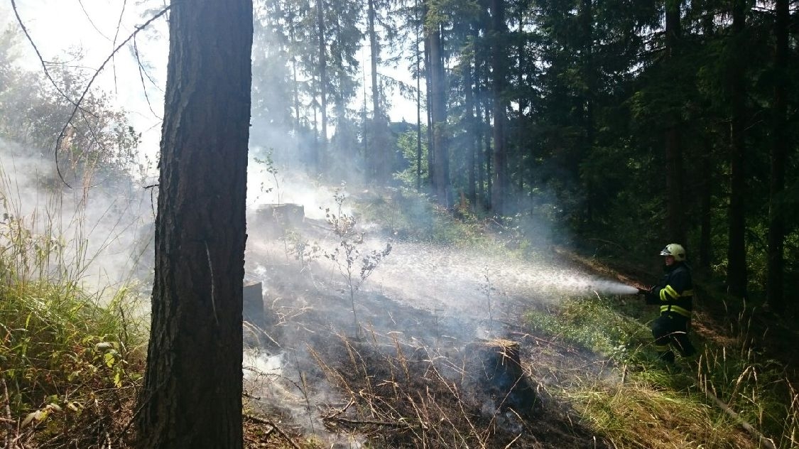 požár lesa Vojtíškov zdroj foto: HZS Ok