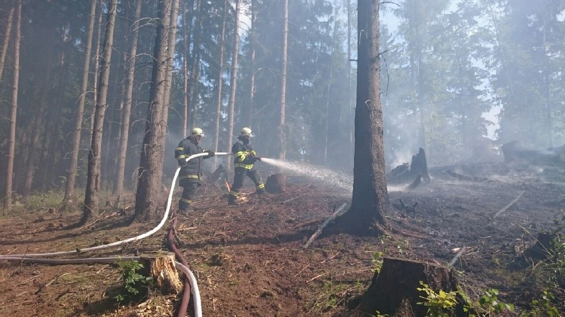 požár lesa Vojtíškov zdroj foto: HZS Ok