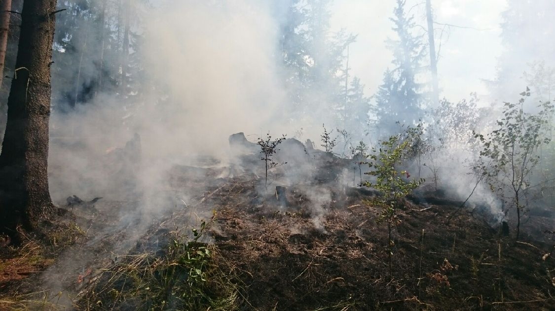 požár lesa Vojtíškov zdroj foto: HZS Ok