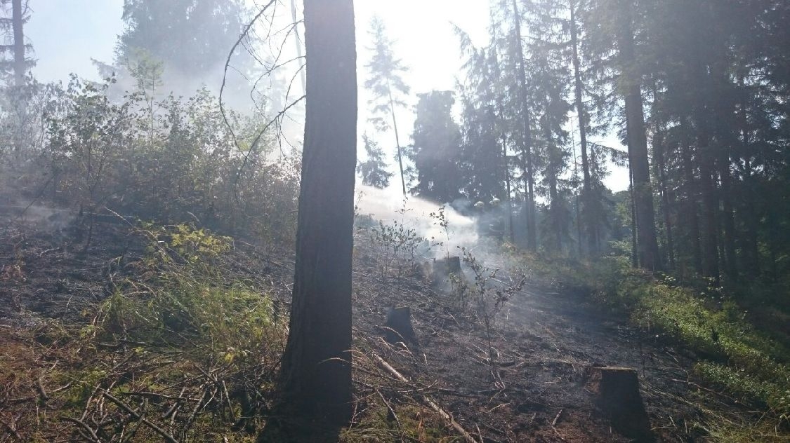 požár lesa Vojtíškov zdroj foto: HZS Ok