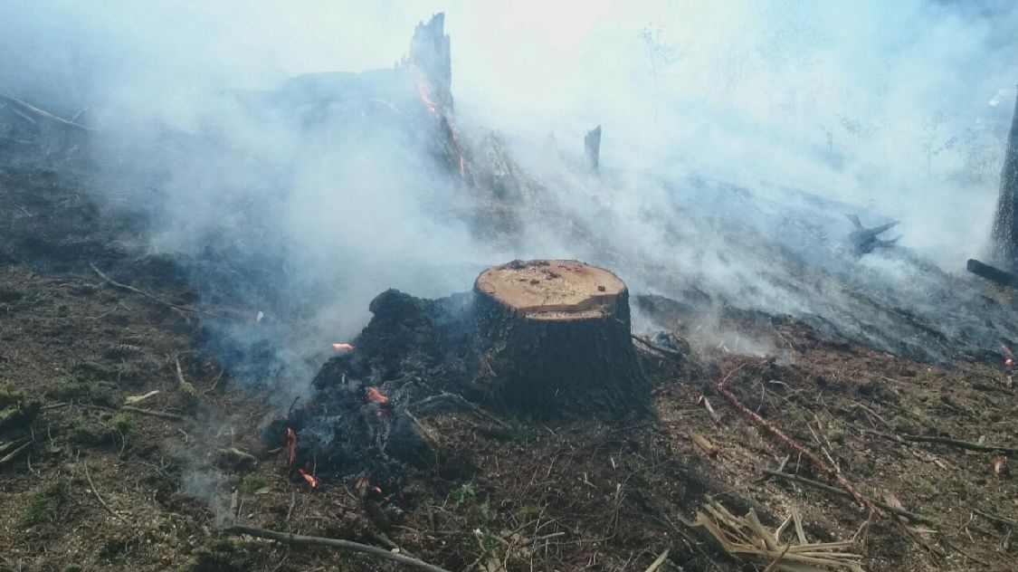 požár lesa Vojtíškov zdroj foto: HZS Ok