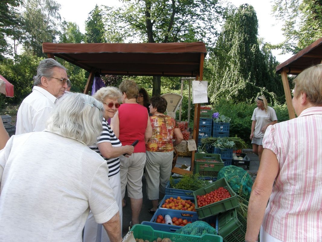 Farmářské trhy - ovoce