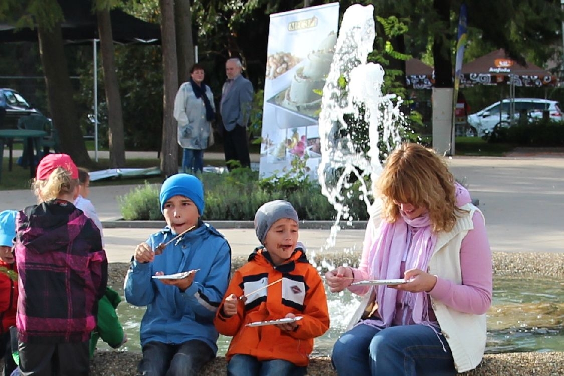 Čokoládový festival 2015 foto: sumpersko.net