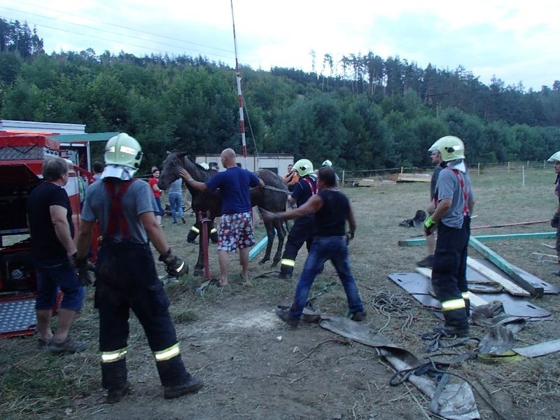 Prostějovsko - záchrana koně zdroj foto: HZS Olk.