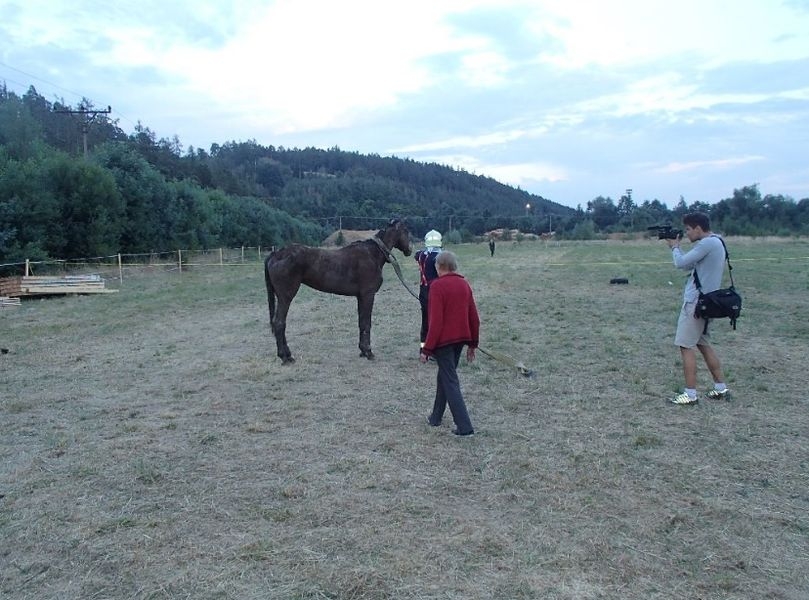 Prostějovsko - záchrana koně zdroj foto: HZS Olk.