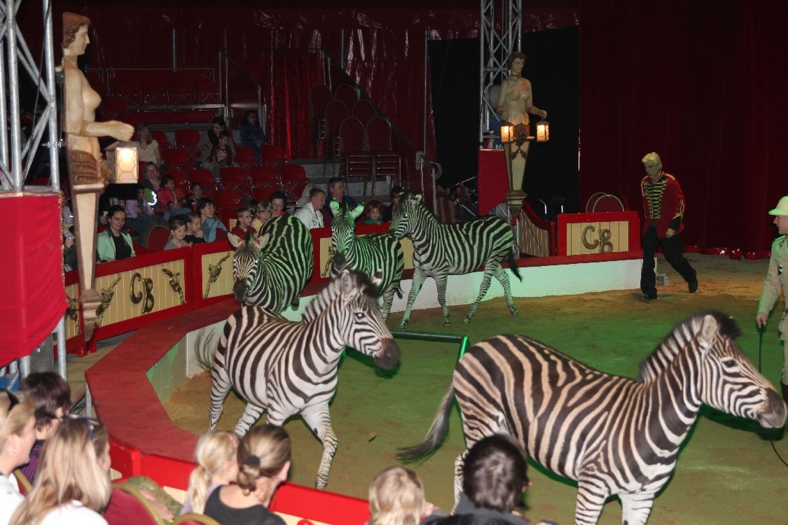 Cirkus Berousek vedle Šantovky v Olomouci zdroj foto: archiv sumpersko.net