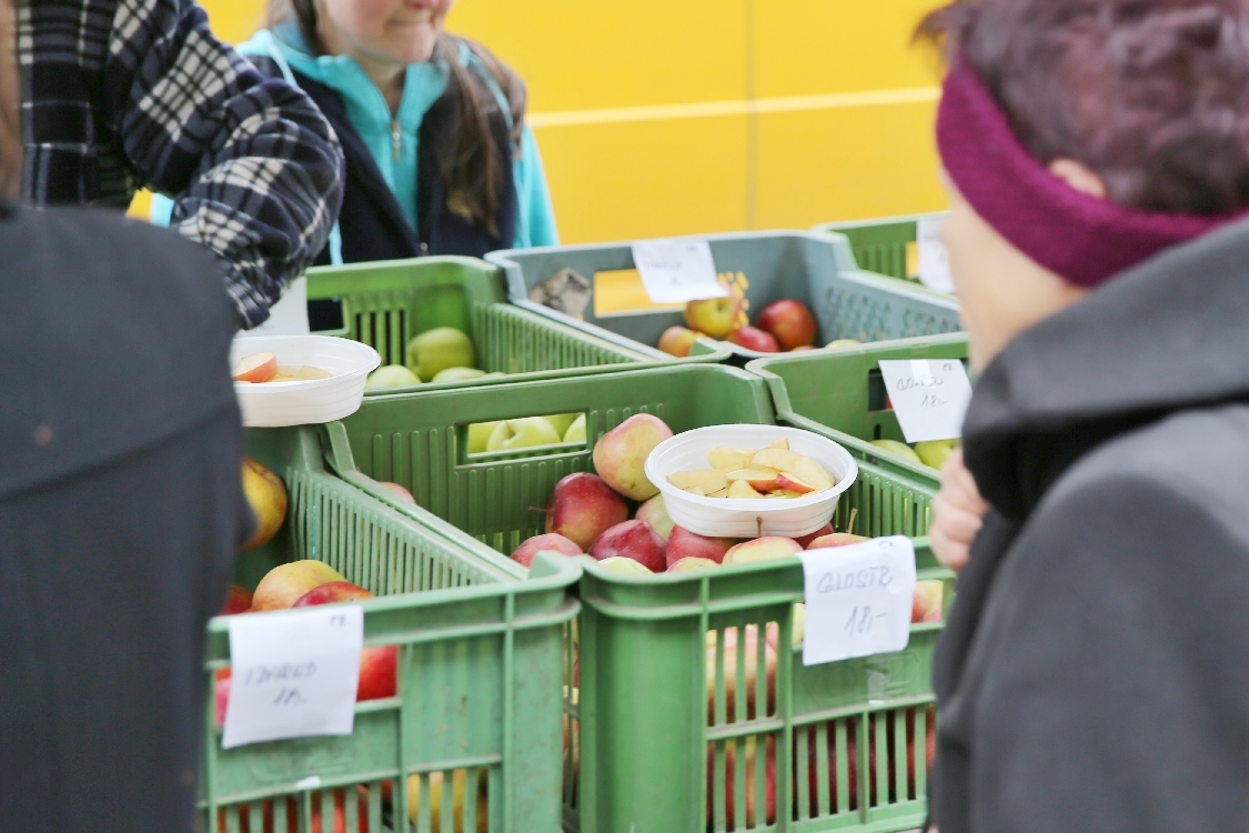 Šumperk - Farmářské trhy duben 2016 foto: sumpersko.net