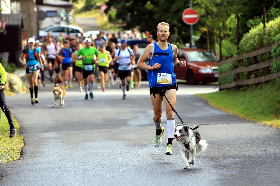 ilustrační snímek zdroj foto: archiv Patrik Pátek/PatRESS.cz