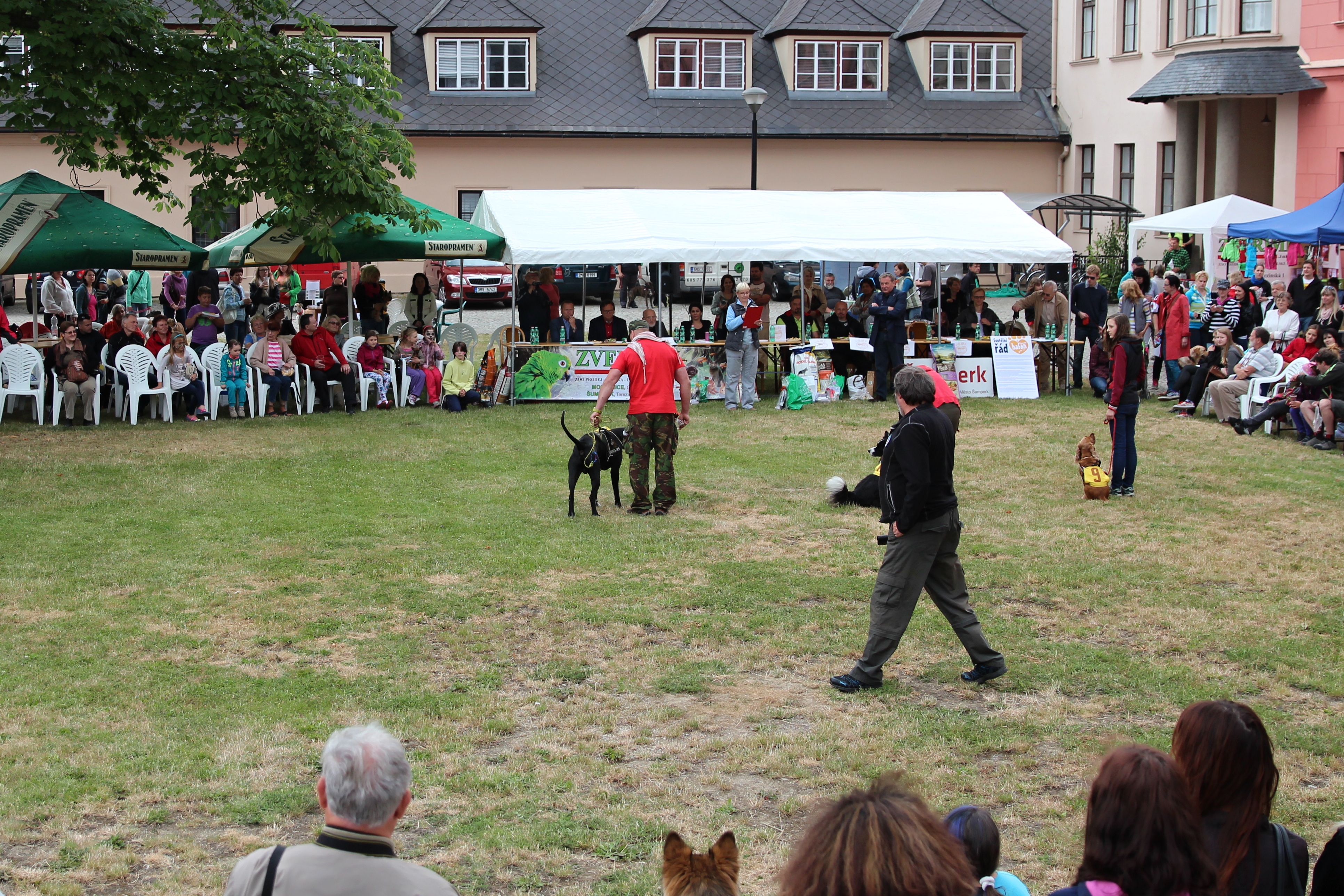 Šumperský hafan 2014 zdroj foto: archiv sumpersko.net