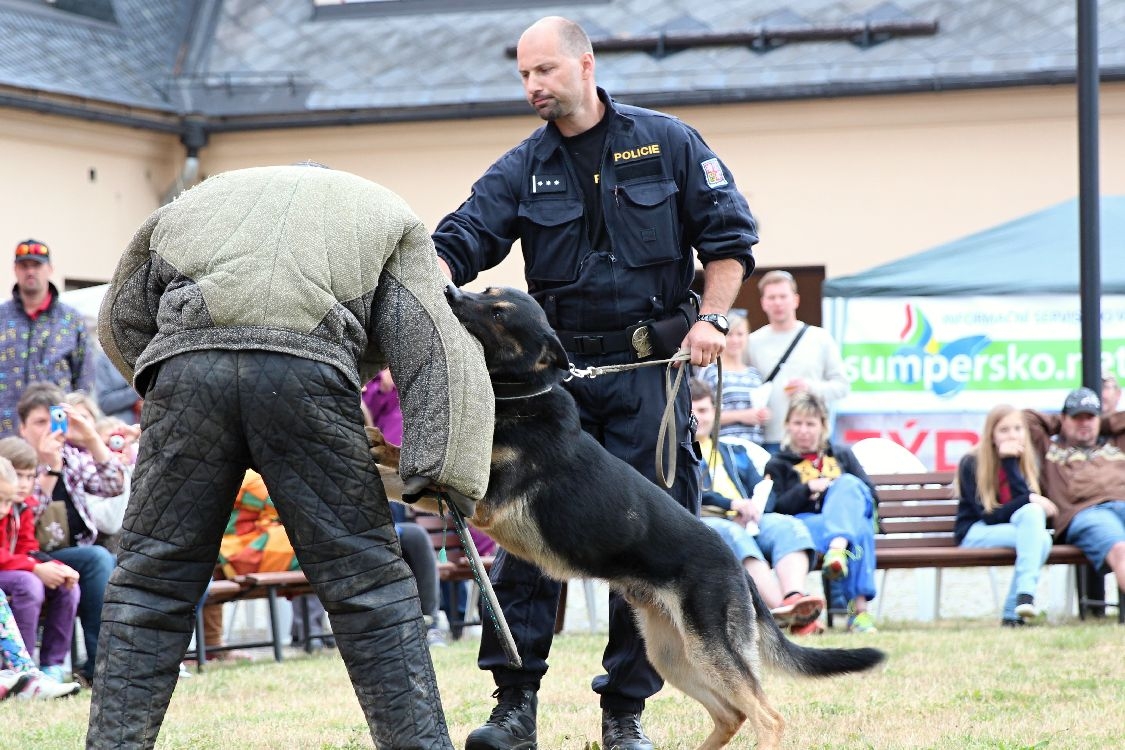 Šumperský hafan 2014 zdroj foto: archiv sumpersko.net