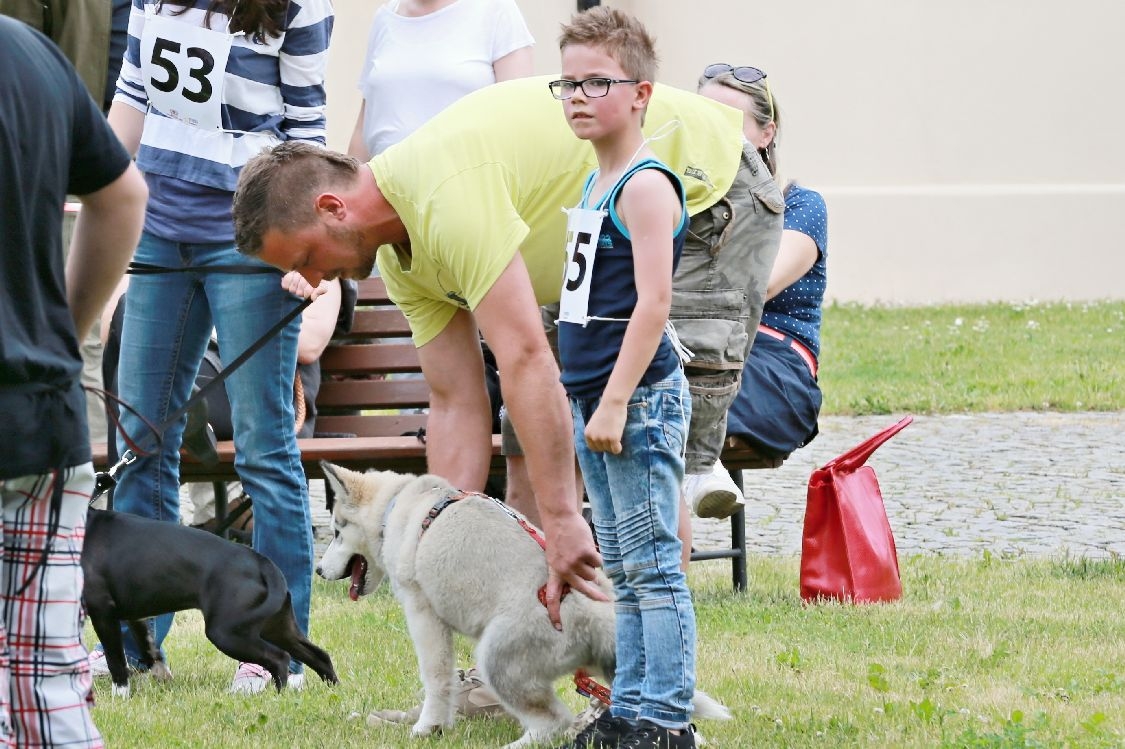 Šumperský hafan 2016 zdroj foto:sumpersko.net