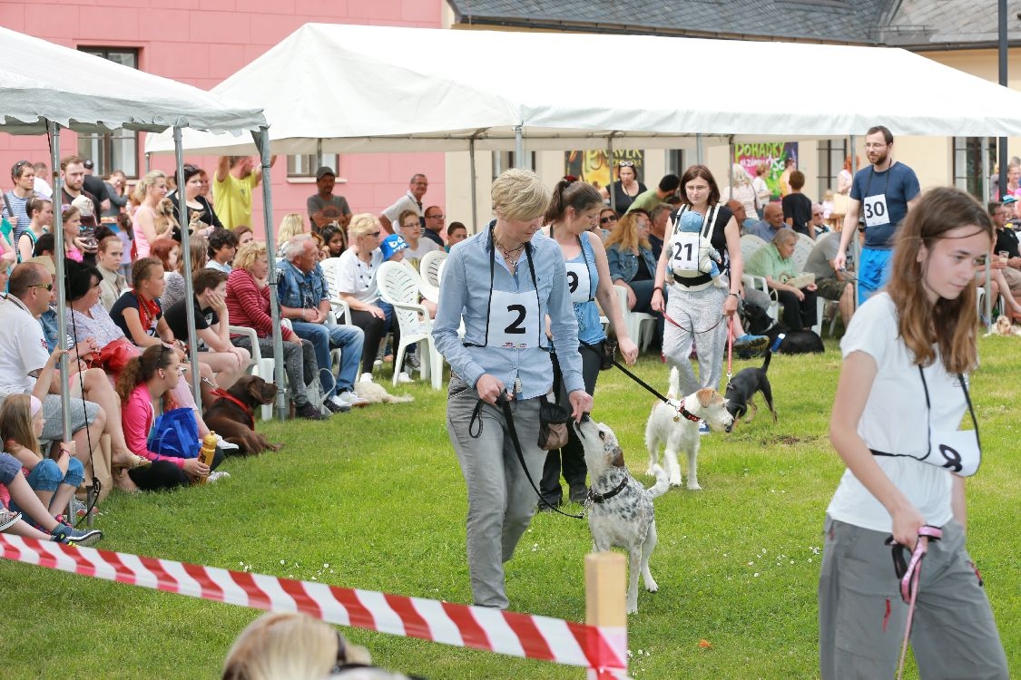 Šumperský hfan 2016 foto: sumpersko.net