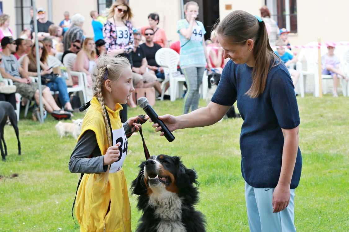 Šumperský hafan 2016 zdroj foto:sumpersko.net