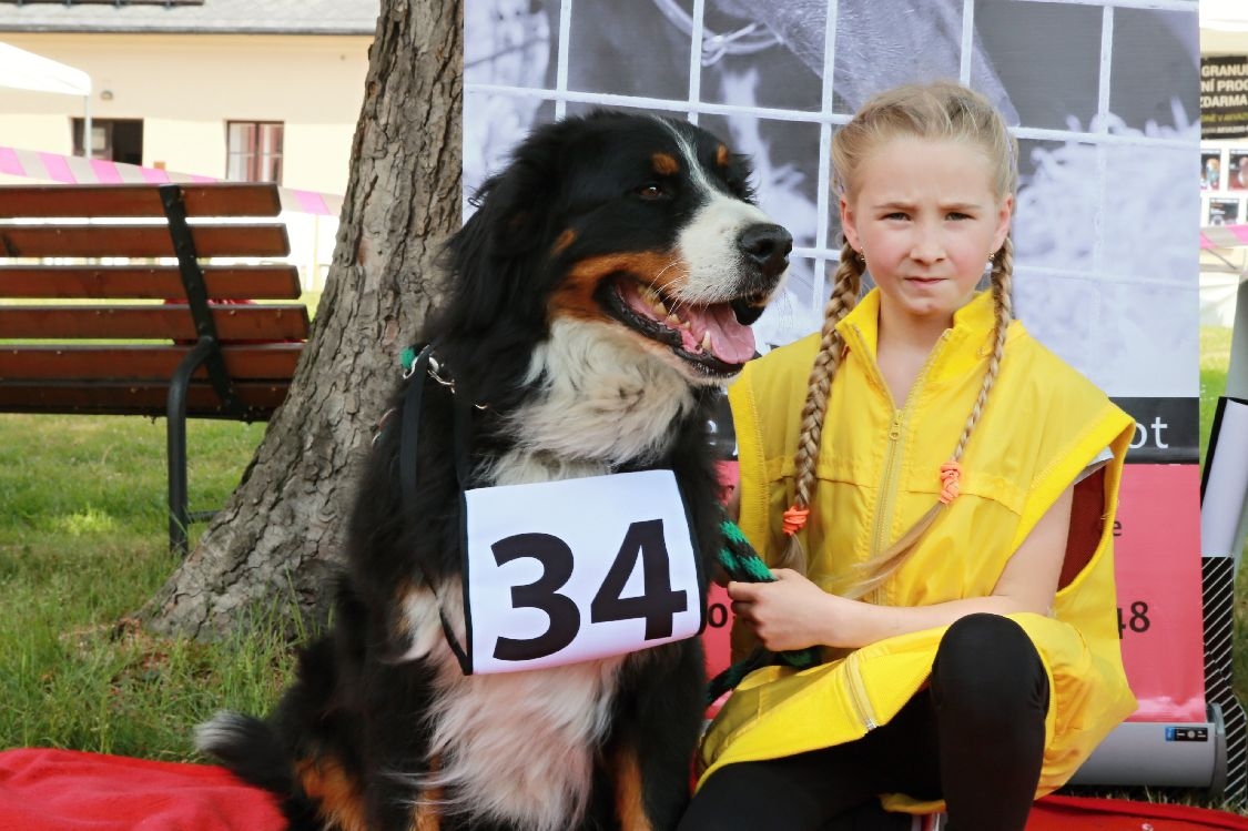 HAFAN SYMPAŤÁK 2016 se jmenuje MAX foto: sumpersko.net