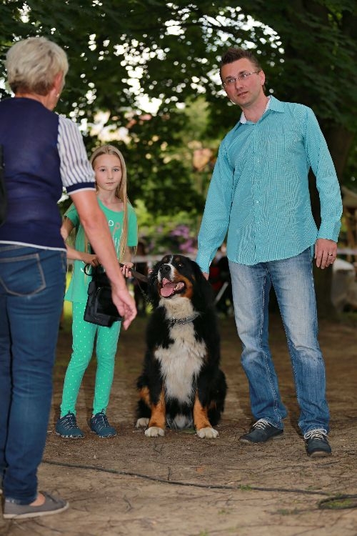 slavnostní předání ceny Hafan Sympaťák 2016 foto: sumpersko.net