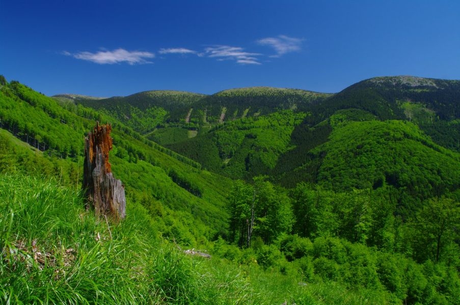 Verniřovice-hřeben-Jeseniků zdroj foto: OLK Netopil