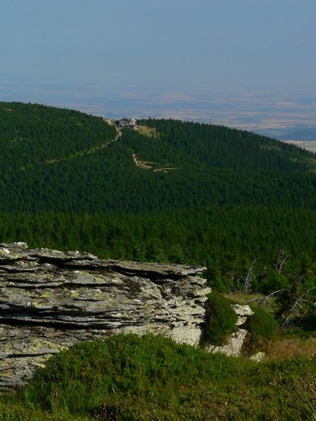 Šerák zdroj foto: OLK Netopil