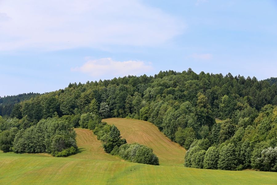 ilustrační snímek zdroj foto: archiv