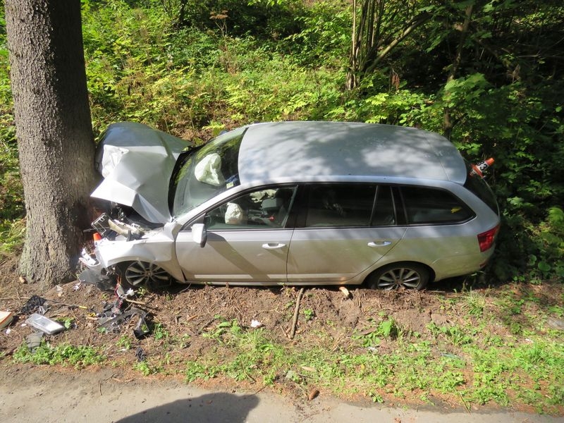 DN mezi obcemi Staré Město a Hanušovice zdroj foto: PČR