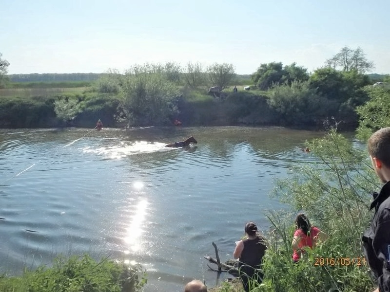 Troubky - záchrana koně zdroj foto: HZS Olk