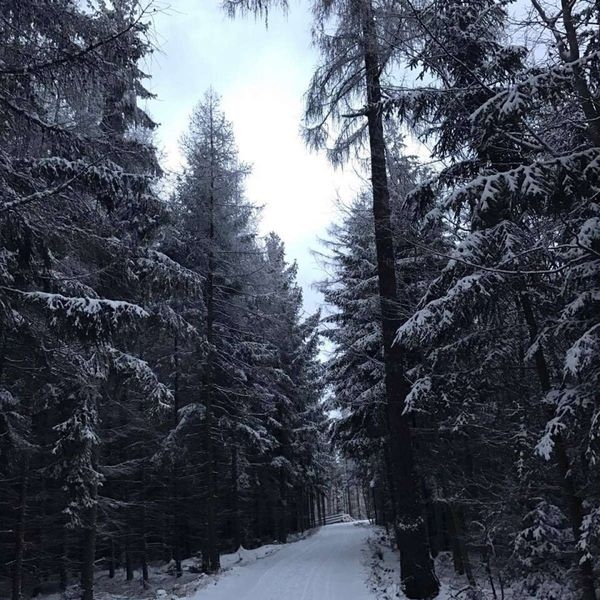 Náročná pátrací akce se šťastným koncem zdroj foto: ZZS Olk