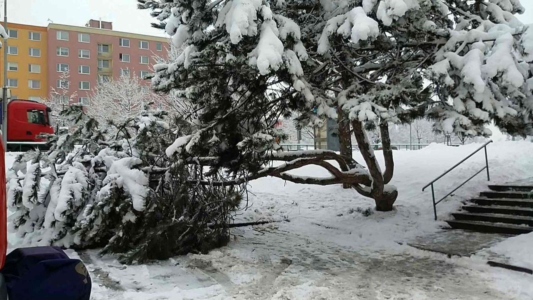 Hranice - zásah hasičů zdroj foto: HZS Olk