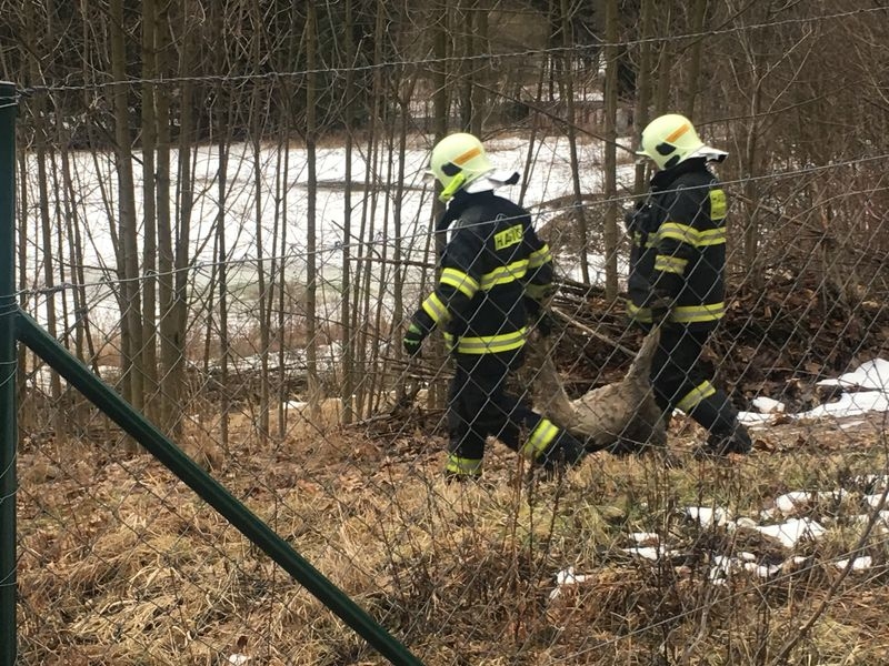 Silný vítr v kraji zaměstnává hasiče zdroj foto: SDH Hanušovice