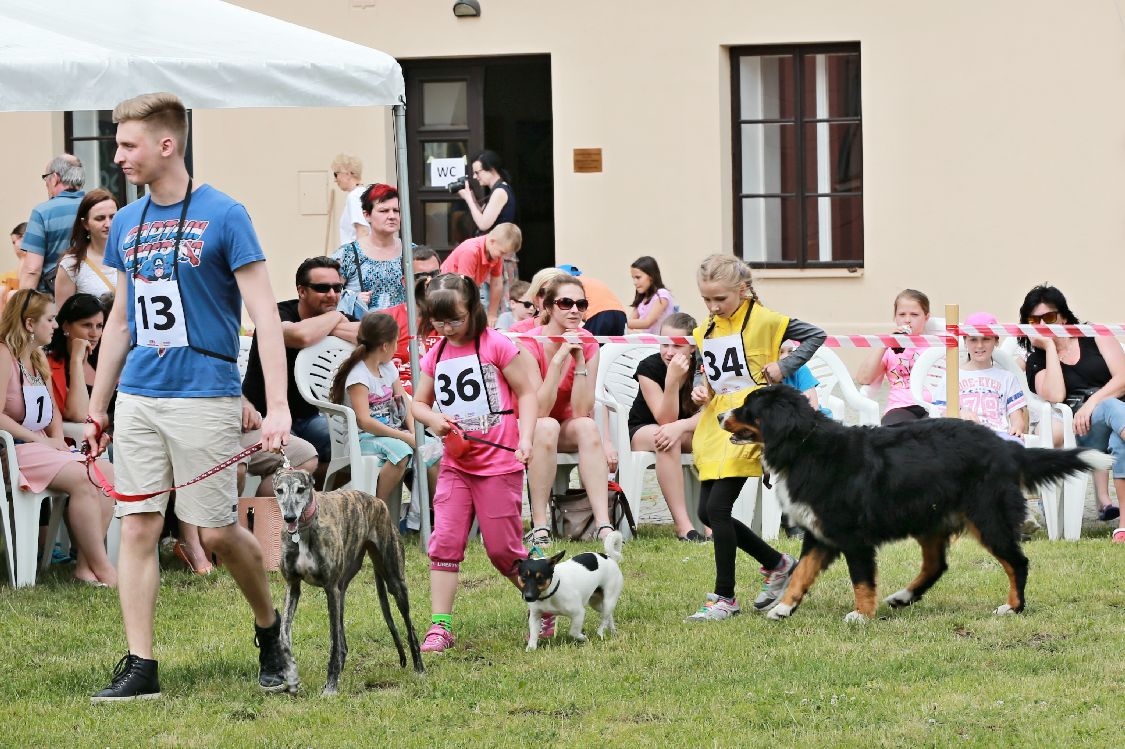 Šumperský hafan 2016 foto: archiv šumpersko.net