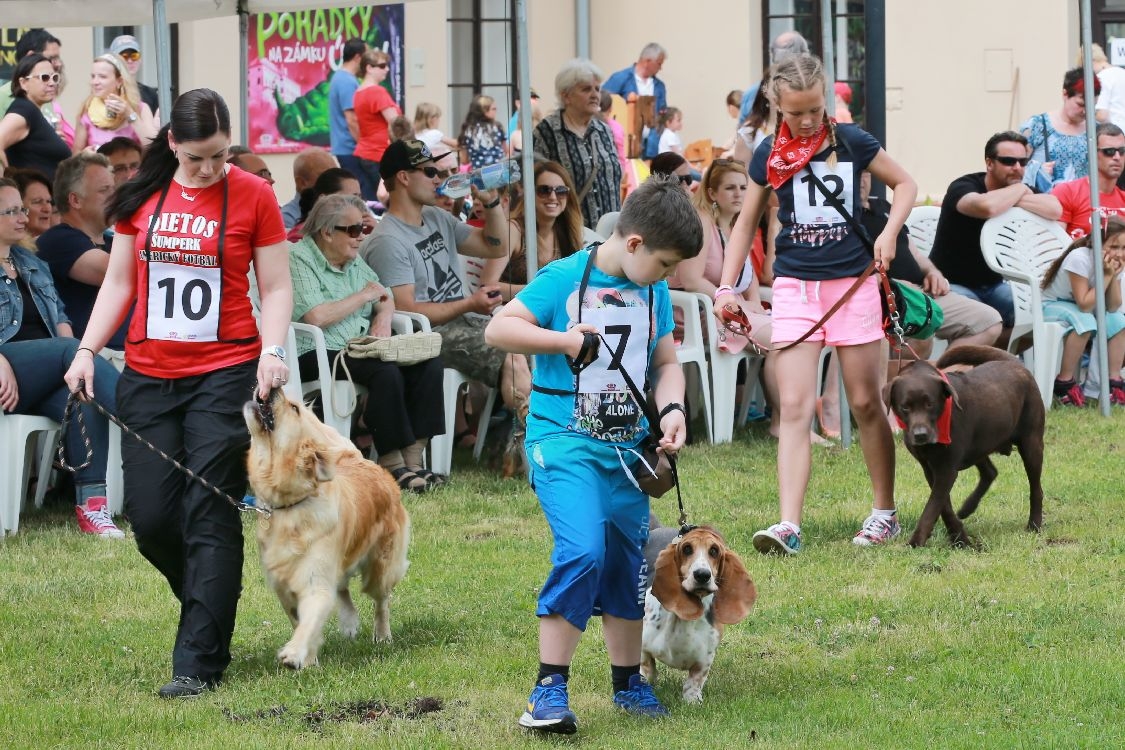 Šumperský hafan 2016 foto: archiv šumpersko.net