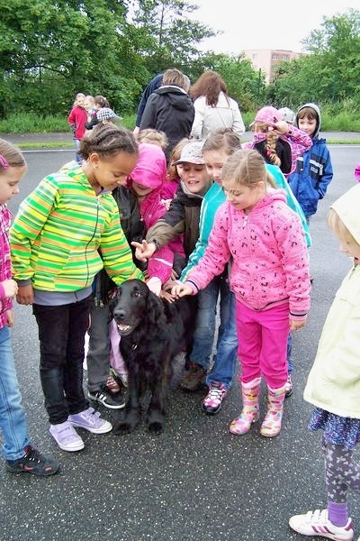 Sirius zdroj foto: V. Sobol