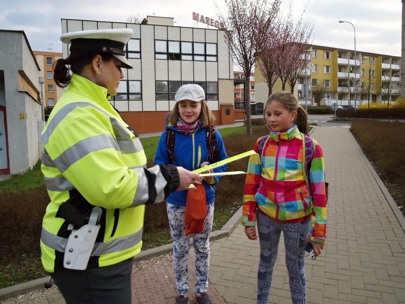 DBA - Šumpersko zdroj foto: PČR