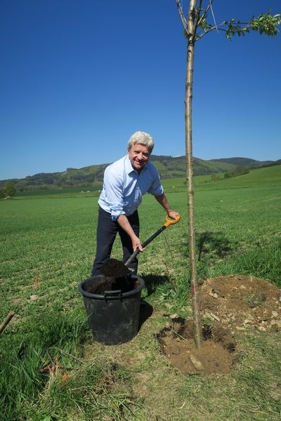 V Rapotíně obnovili historickou alej zdroj foto: M. Pásková