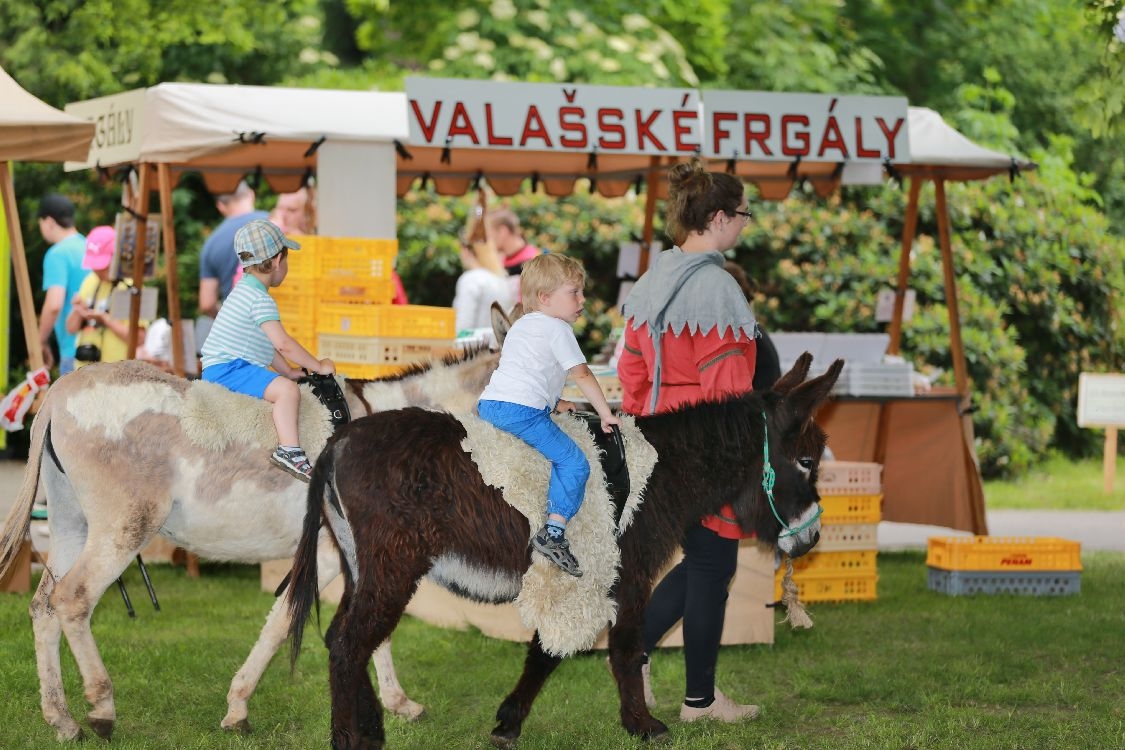 Slavnosti města 2016 foto: archiv šumpersko.net