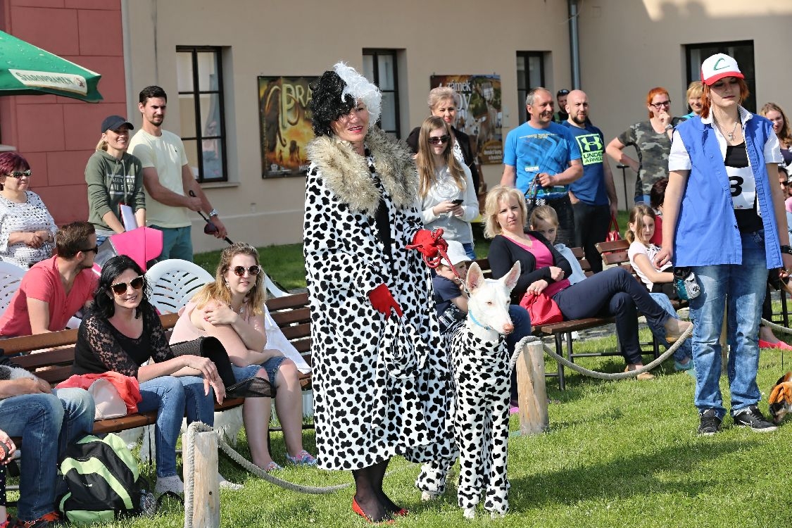 Šumperský hafan 2017 foto: šumpersko.net M. Jeřábek