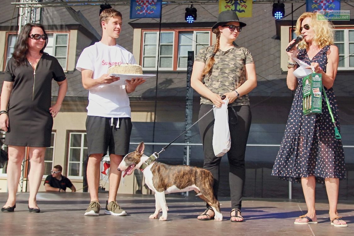 fenka Amidala vyhrála titul miss sympatie - Hafan Sympaťák 2017 - předání ceny - foto:šumpersko.net