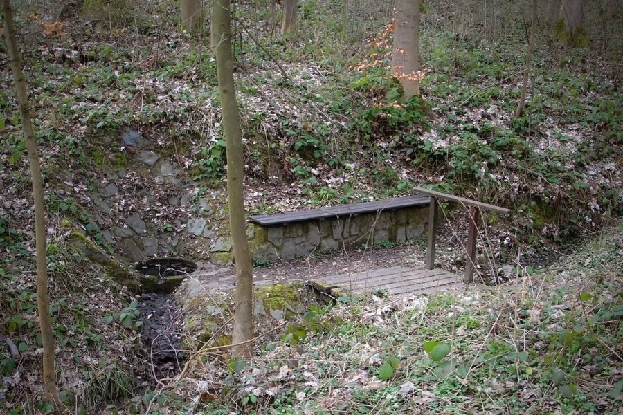 Šumperský příměstský les se stane rekreační foto: archiv šumpersko.net