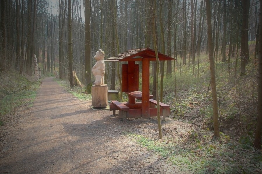 Šumperský příměstský les se stane rekreační foto: archiv šumpersko.net