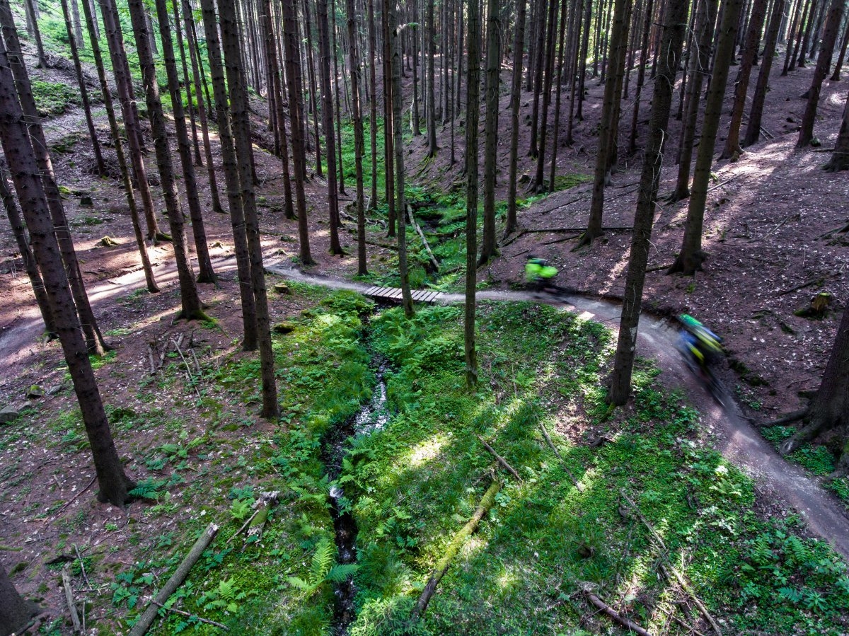 Bikery do Rychlebských hor láká nové video i nové stezky zdroj foto: Olk.