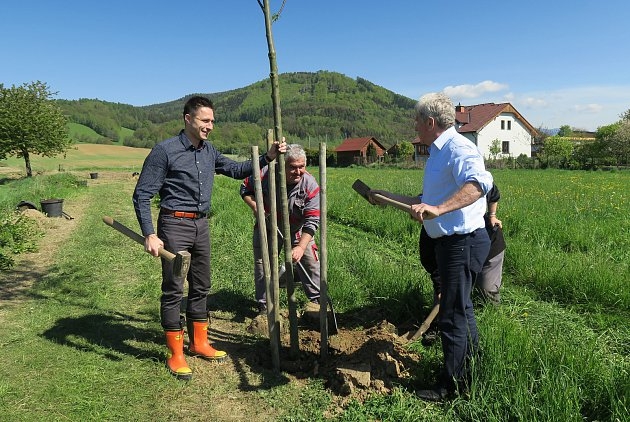 jarní výsadba v Rapotíně zdroj foto: V. Sobol