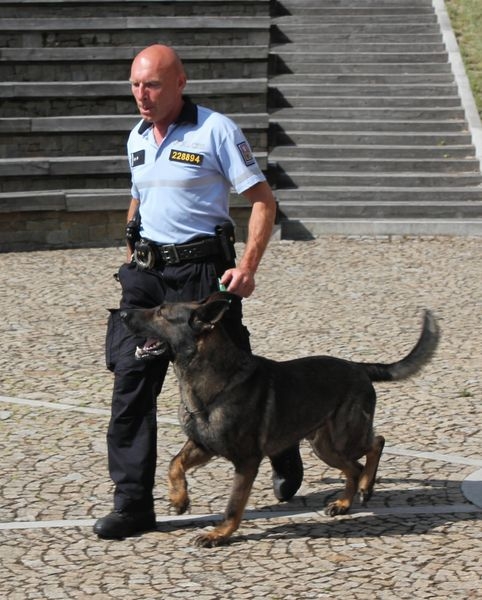 Policejní psovod zachránil v Olomouci tonoucího muže zdroj foto: PČR