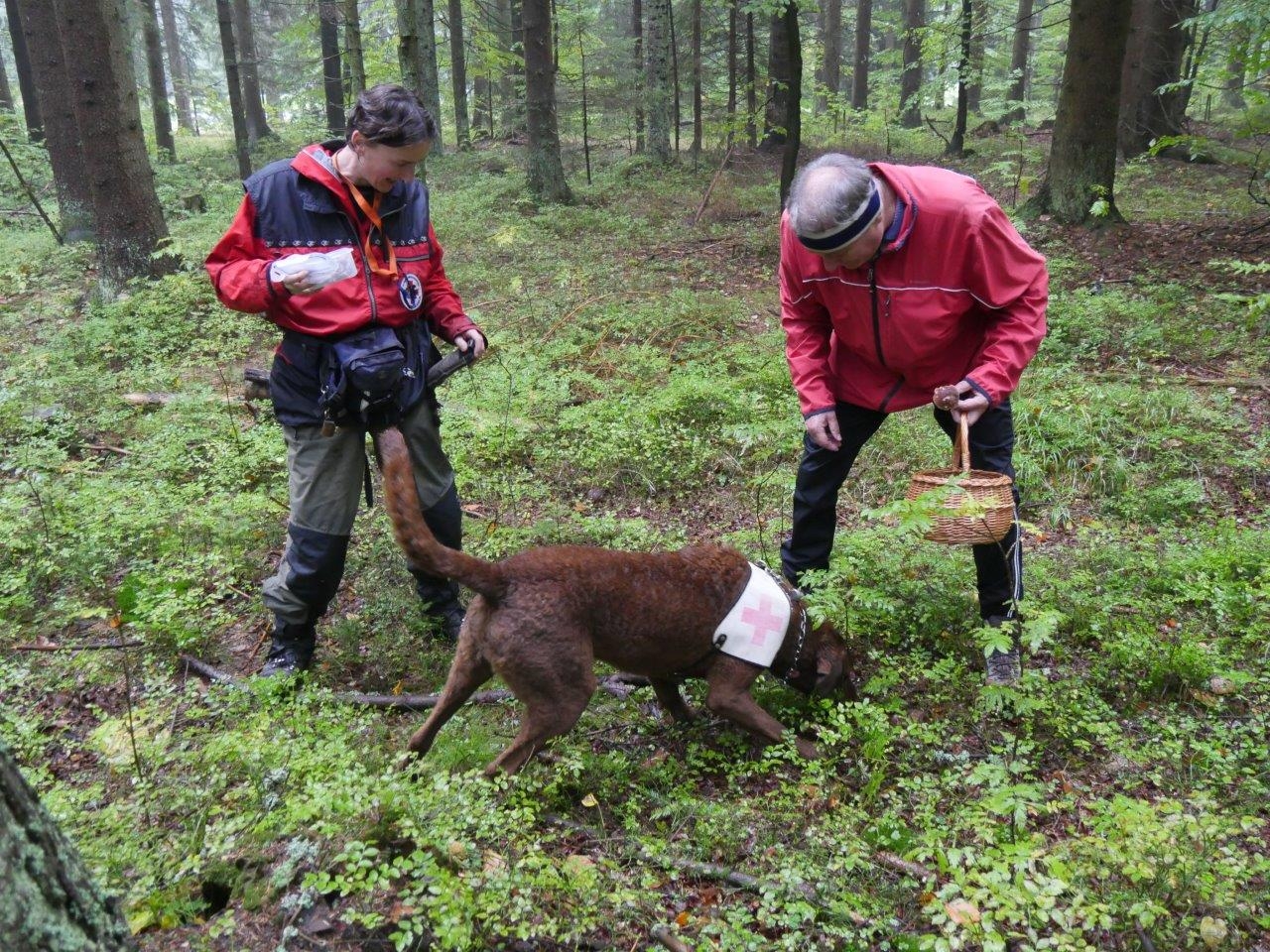 Ztraceného turistu v Jeseníkách hledalo přes padesát osob zdroj foto: HZS Olk