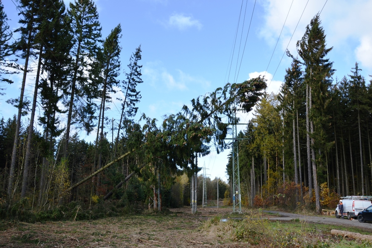 Energetikům způsobil orkán Herwart škody za desítky milionů zdroj foto: M. Pásková