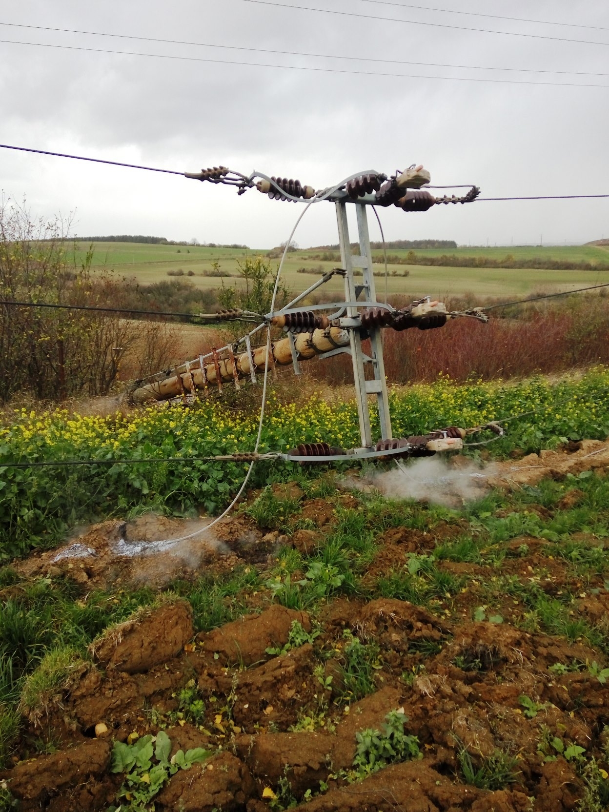 Energetikům způsobil orkán Herwart škody za desítky milionů zdroj foto: M. Pásková