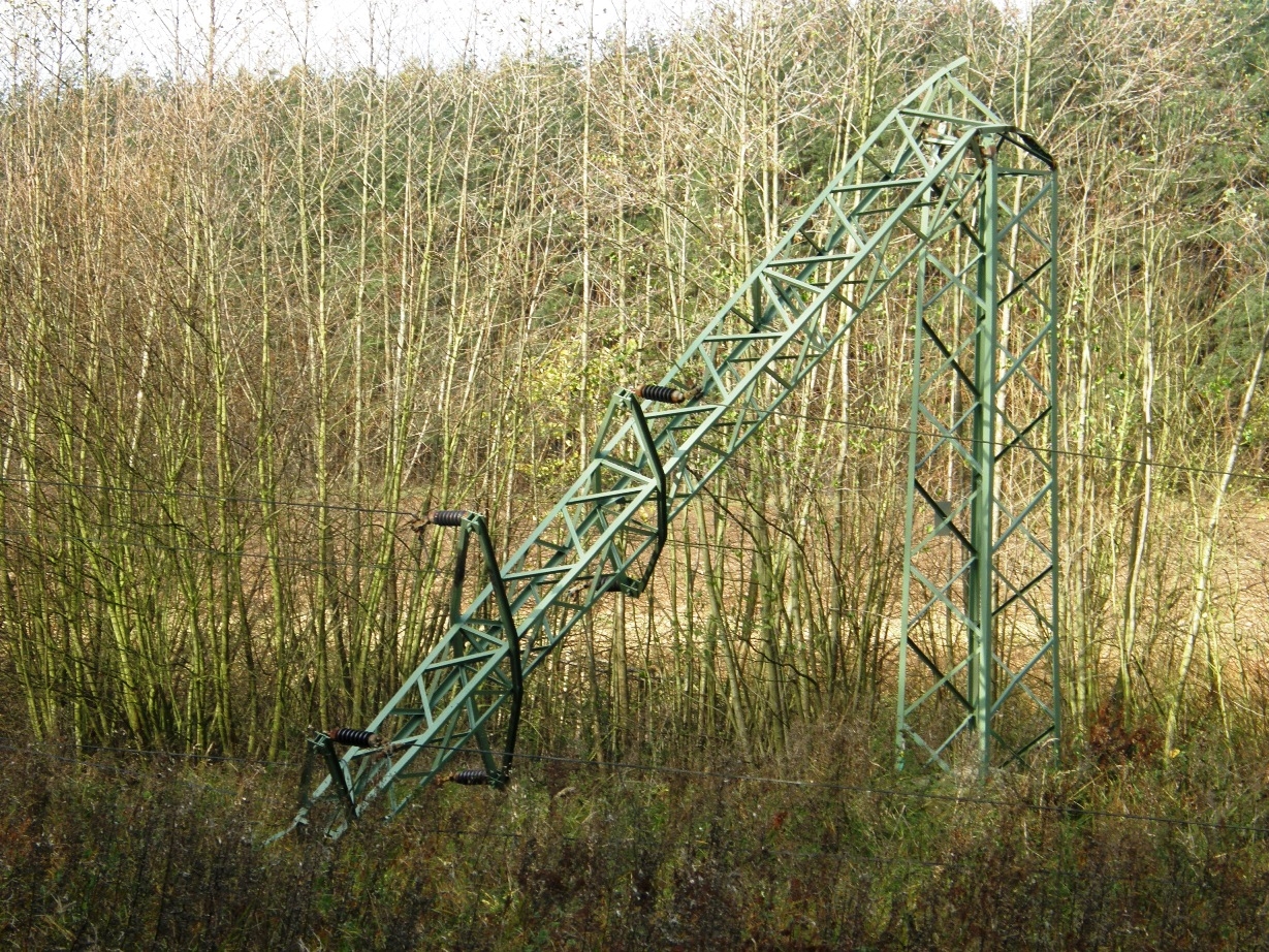 Energetikům způsobil orkán Herwart škody za desítky milionů zdroj foto: M. Pásková